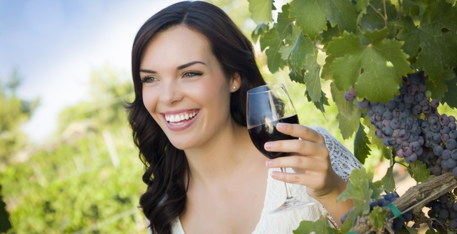 wine tours limo service sacramento